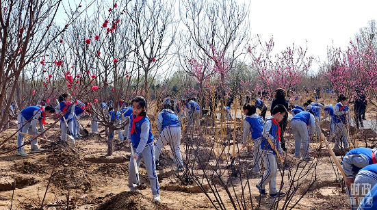参加首都义务植树活动，习近平为何强调这三个关键词？